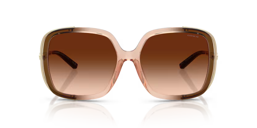 COACH HC8423U Sunglasses | High end optical frames | SpecsBunker India |branded eyeglasses in India