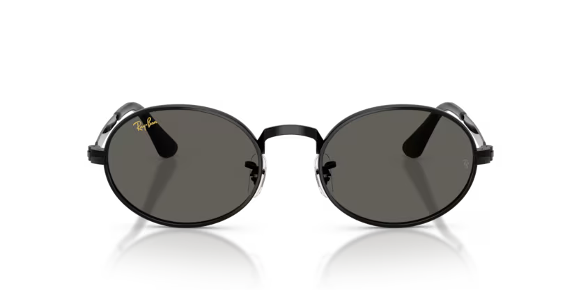 RAY-BAN RB3931 Sunglass
