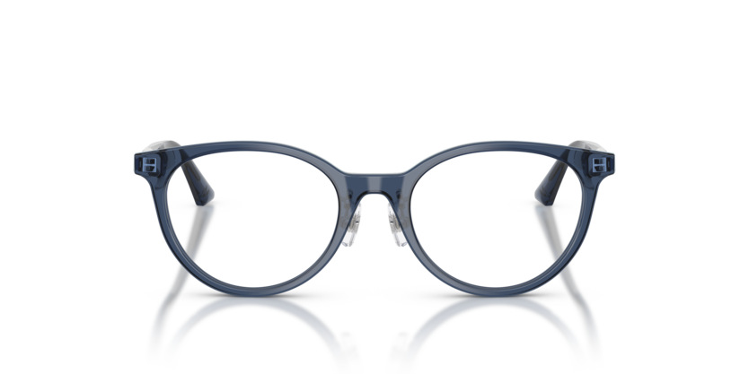 JIMMY CHOO JC3039D Optical Frame