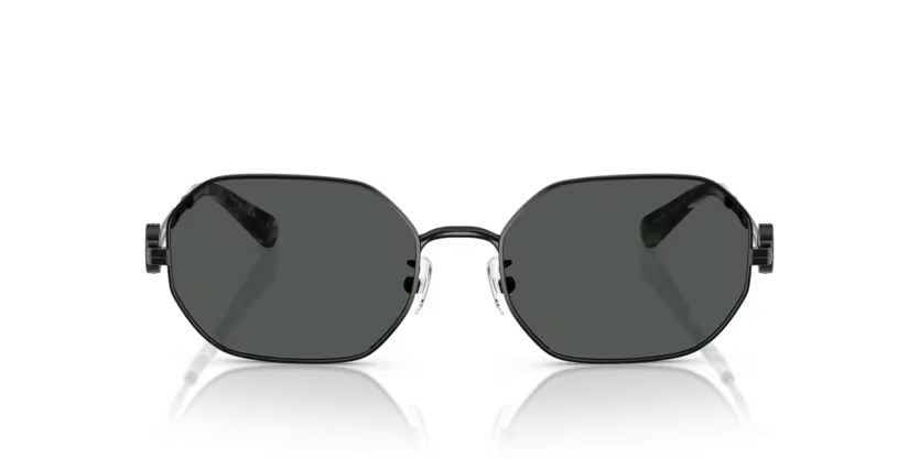 TORY BURCH TY6113 Sunglass