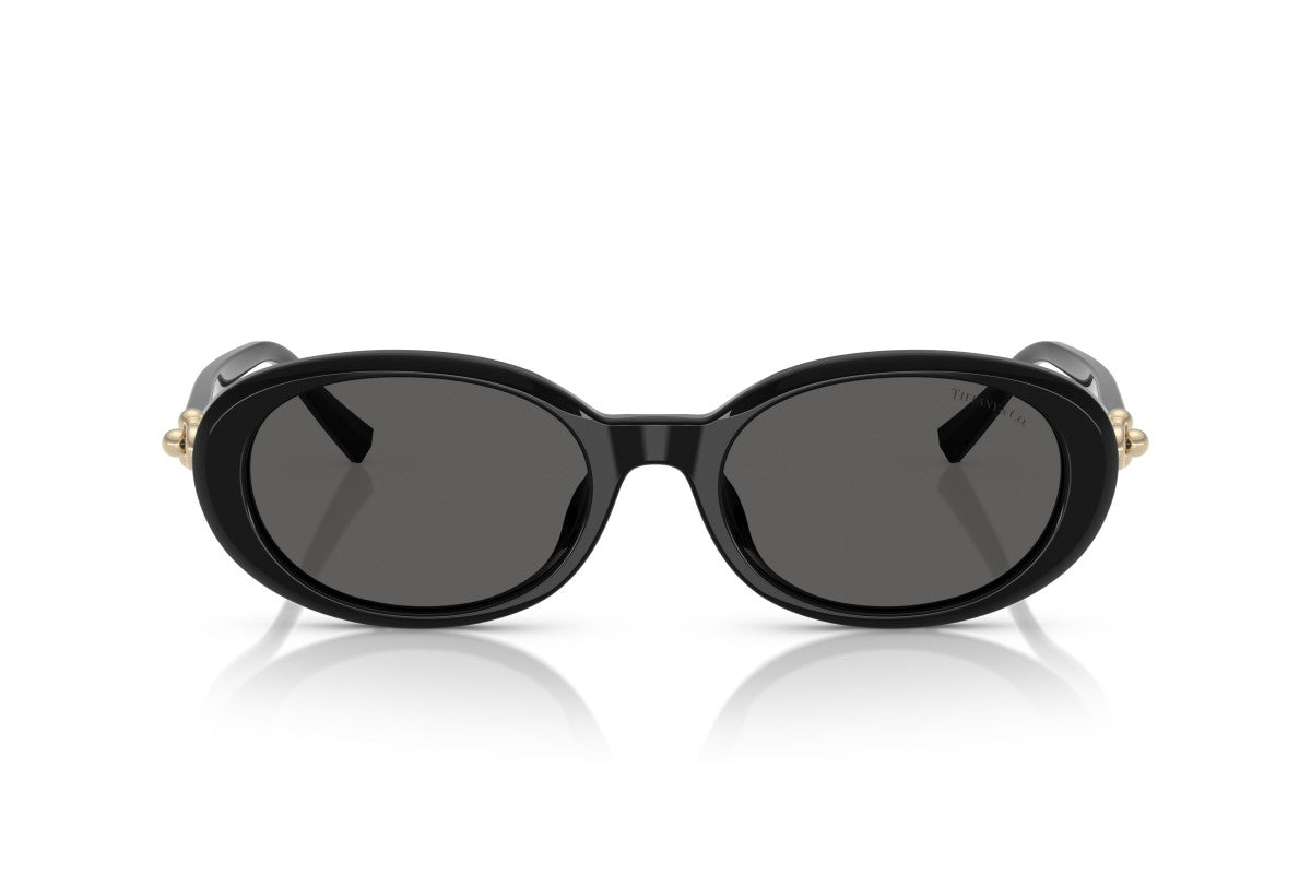 Tiffany & Co TF4242D Sunglass