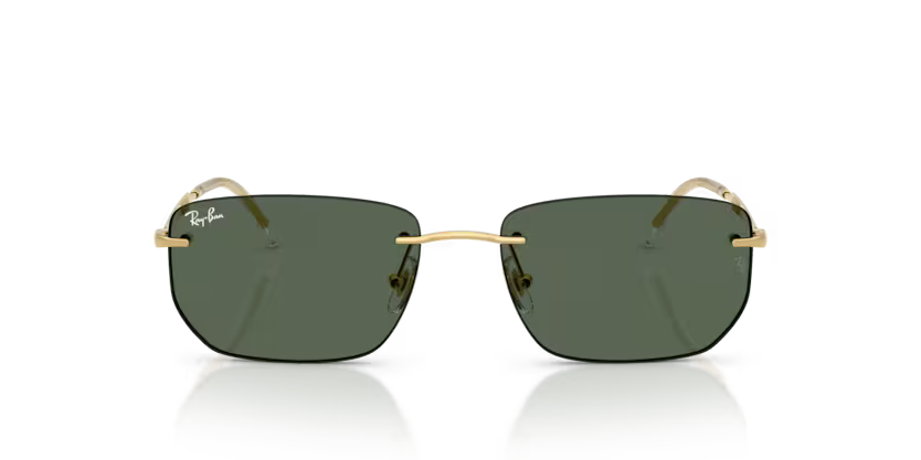 RAY-BAN RB3768 Sunglass