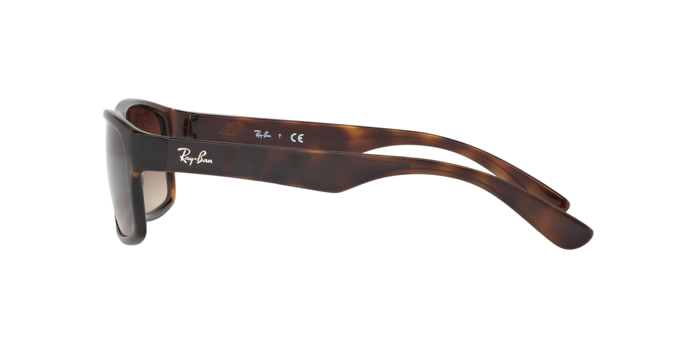 RAY-BAN RB4205I Sunglass