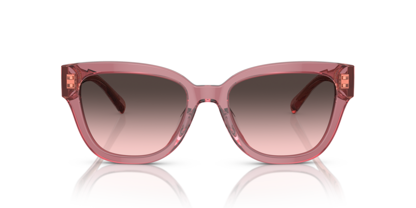 COACH HC8379U Sunglass