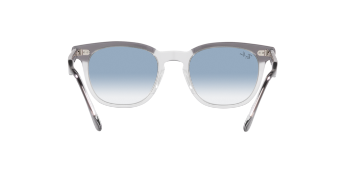 RAY-BAN RB2298 Sunglass
