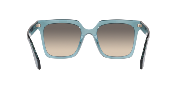 GIORGIO ARMANI AR8156 Sunglass
