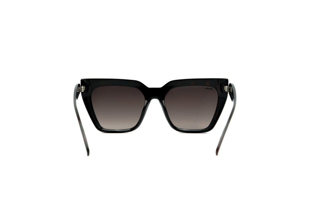FRENCH CONNECTION FC7691 Sunglass