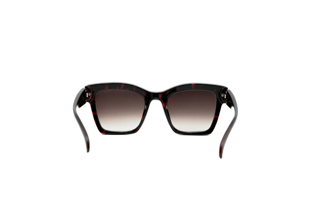 SCOTT SC3165 Sunglass