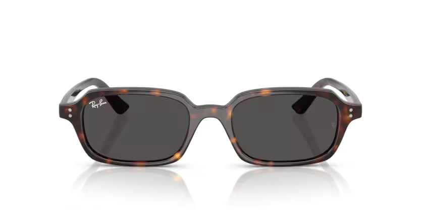 RAY-BAN RB4455 Sunglass online in India – premium sunglasses for men and women