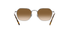 RAY-BAN RB3694 Sunglass