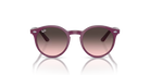 Ray-Ban Sunglass