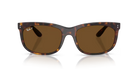 Ray-Ban Sunglasses