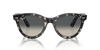 Ray-Ban Sunglasses