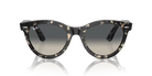 Ray-Ban Sunglasses