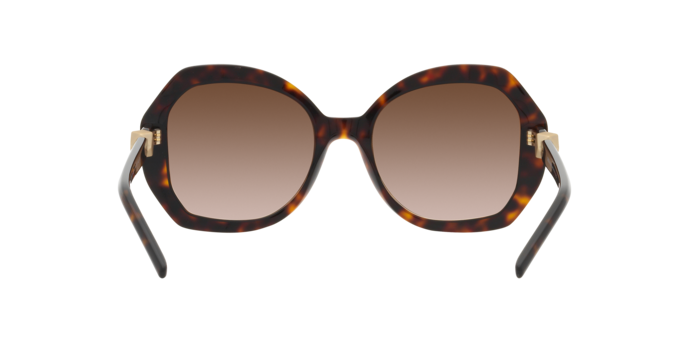 GIORGIO ARMANI AR8180 Sunglass
