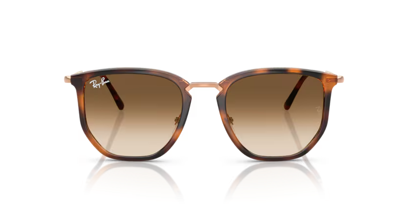 RAY-BAN RB4451 Sunglass