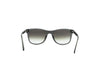 CALVIN KLEIN CK25556I Sunglass