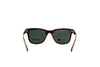 POLORIOD 6206 Sunglass
