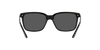 VERSACE VE4307 Sunglass