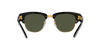 RAY-BAN RB0316S Sunglass