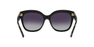 COACH HC8264 Sunglass online in India – stylish designer eyewear