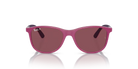 Ray-Ban Sunglass