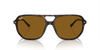 RAY-BAN RB2205 Sunglass