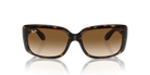 Ray-Ban Sunglass