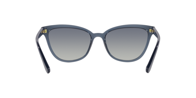 VOGUE VO5496SI Sunglass
