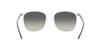 RAY-BAN RB4387 Sunglass