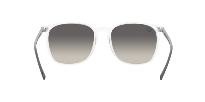 RAY-BAN RB4387 Sunglass