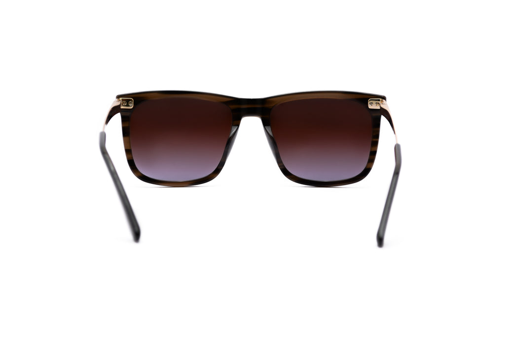 CALVIN KLEIN CK22536S Sunglass