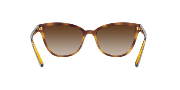 VOGUE VO5496SI Sunglass
