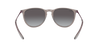 RAY-BAN RB4171 Sunglass