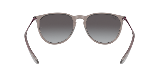 RAY-BAN RB4171 Sunglass