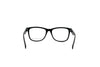 FRENCH CONNECTION FC8313 Optical Frames