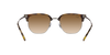 RAY-BAN RB4416 Sunglass