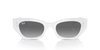 Ray-Ban Sunglasses