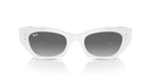 Ray-Ban Sunglasses