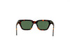 Entourage Of 7 BROOKLYN Optical Frame