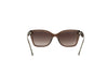 FRENCH CONNECTION FC7692 Sunglass