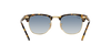 RAY-BAN RB3016 Sunglass