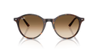 Ray-Ban Sunglasses