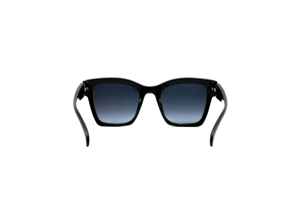 SCOTT SC3165 Sunglass