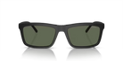 ARNETTE AN4333 Sunglass | Premium optical frames | SpecsBunker India | luxury eyeglasses online in India