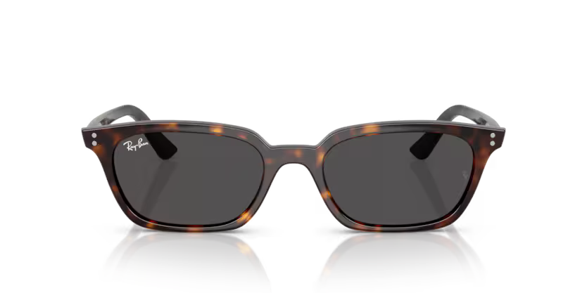 RAY-BAN RB4456 Sunglass