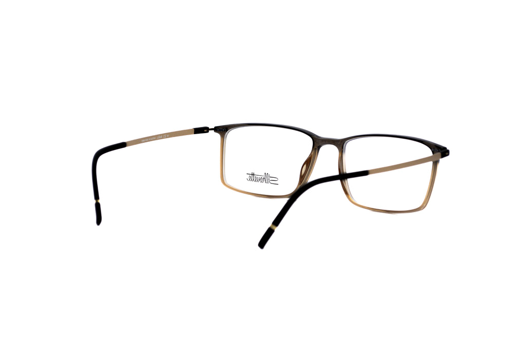 SILHOUETTE 2965/75 Optical Frame