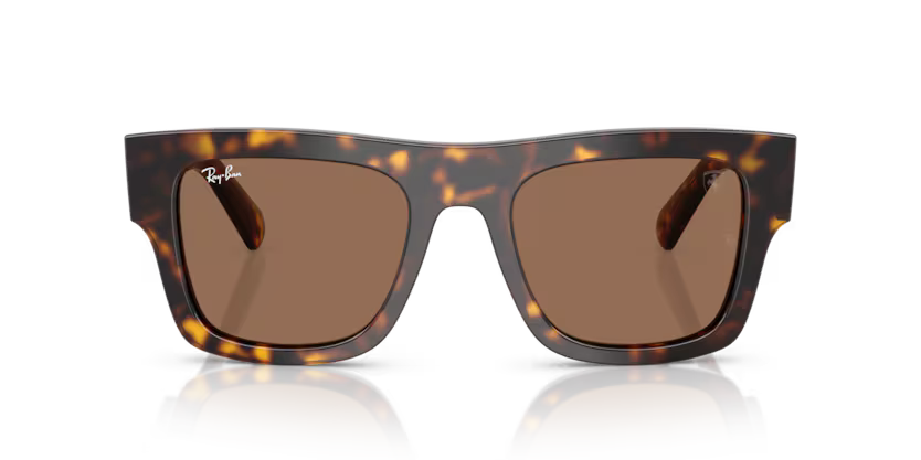 RAY-BAN FERRARI RB2217M Sunglass