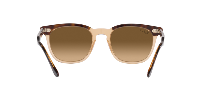 RAY-BAN RB2298 Sunglass
