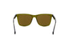 CALVIN KLEIN JEANS  CKJ24601S Sunglass